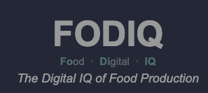 FoDiQ